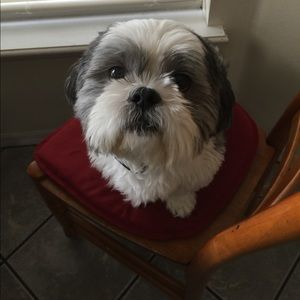 Meet your Posher, Gracemarie